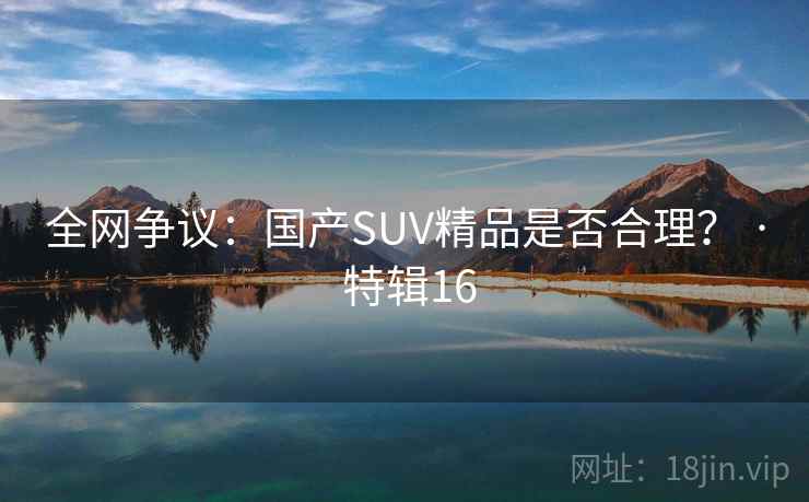 全网争议：国产SUV精品是否合理？ · 特辑16