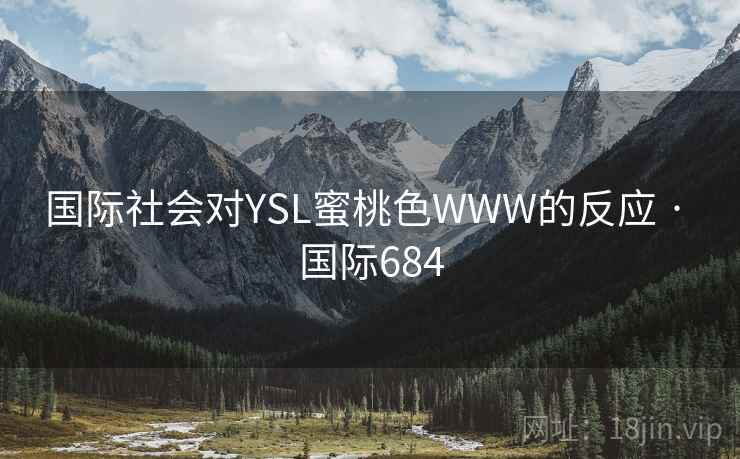 国际社会对YSL蜜桃色WWW的反应 · 国际684