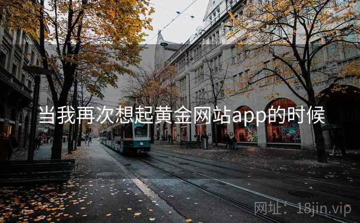 当我再次想起黄金网站app的时候
