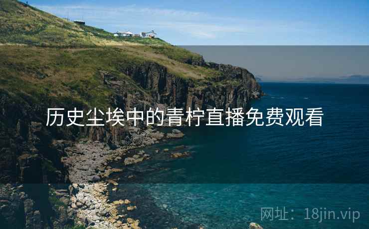 历史尘埃中的青柠直播免费观看
