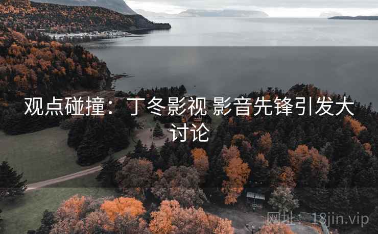 观点碰撞：丁冬影视 影音先锋引发大讨论