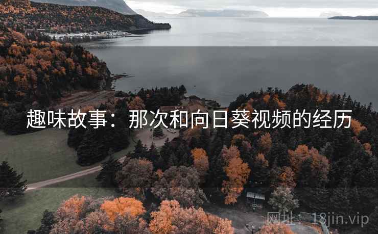 趣味故事：那次和向日葵视频的经历