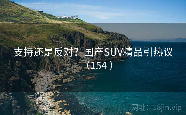 支持还是反对？国产SUV精品引热议（154 ）